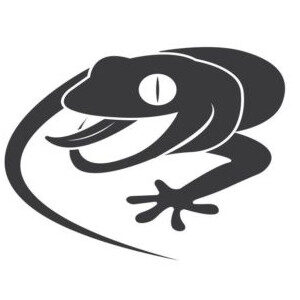 Logo Les Gekkos